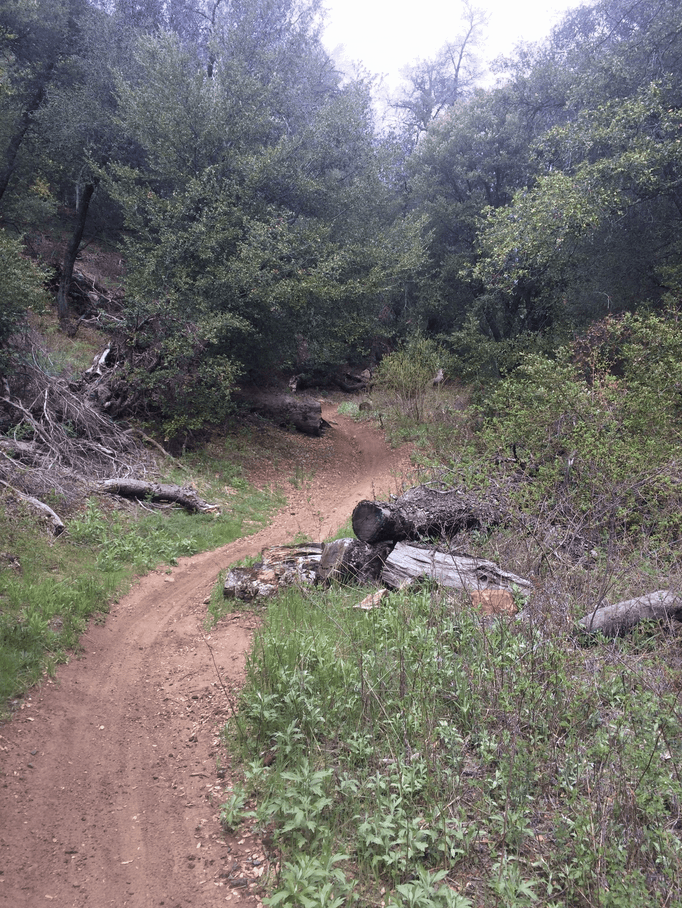 Noble Canyon Trail