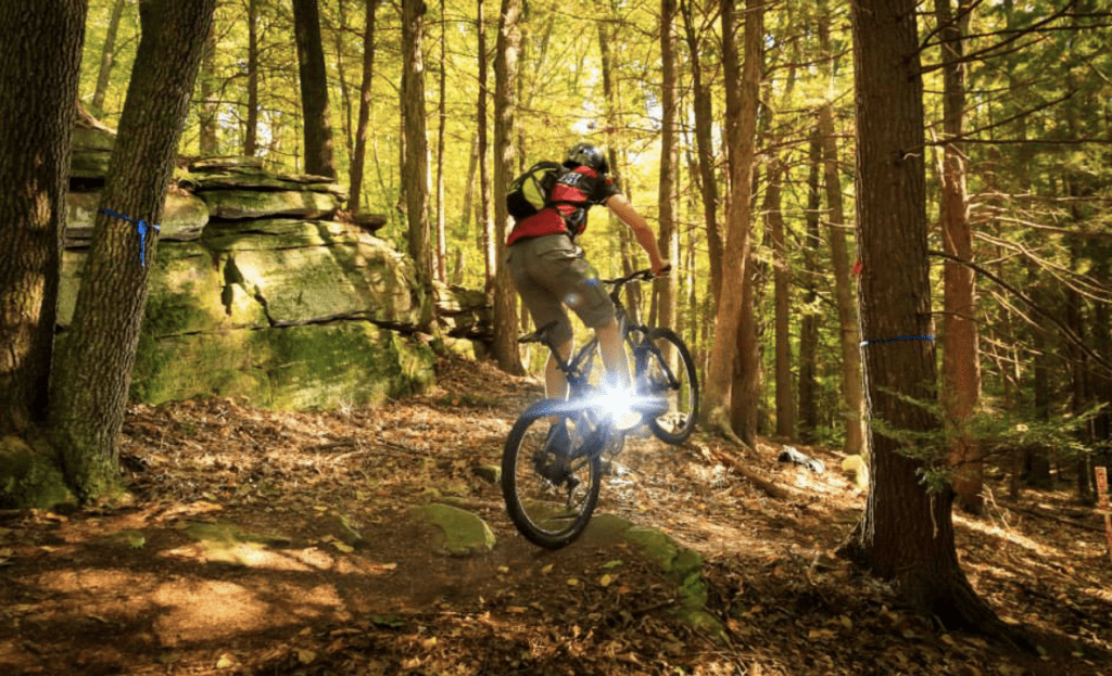 best trail mtb